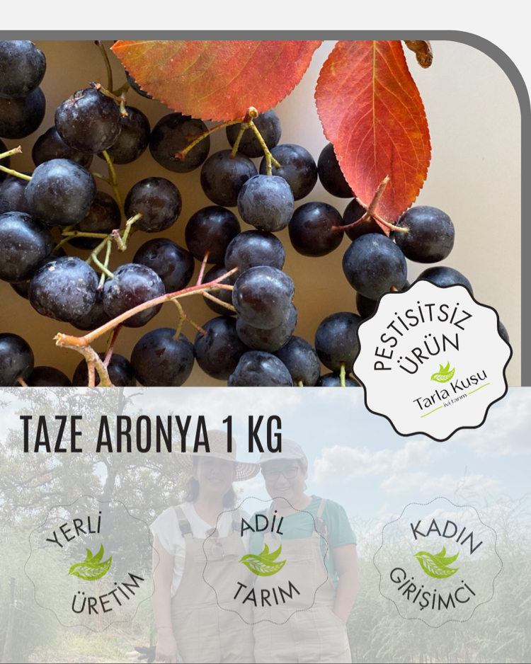 500 gr Dalından Taze İlaçsız Tarla Kuşu Aronyası