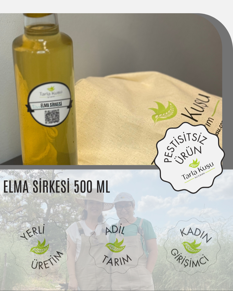 Elma Sirkesi Doğal Fermantasyon
