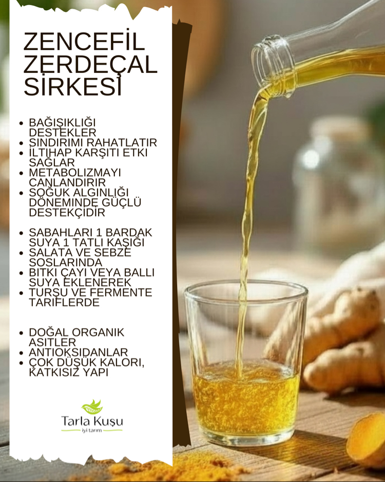 Zencefil Zerdeçal Sirkesi