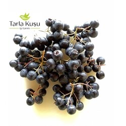 500 gr Dalından Taze İlaçsız Tarla Kuşu Aronyası