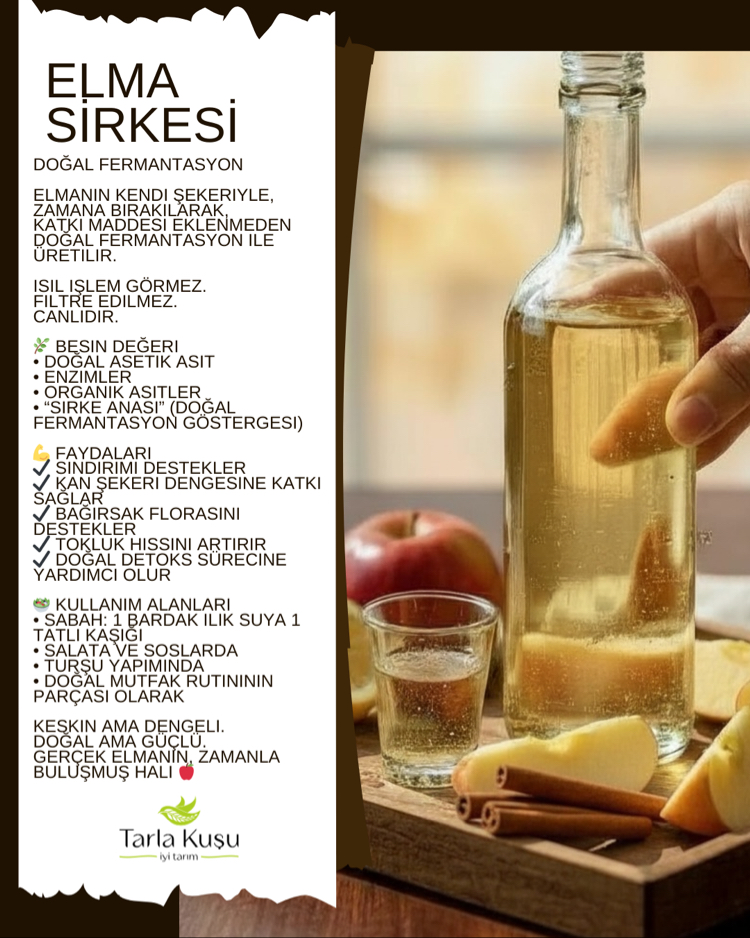 Elma Sirkesi Doğal Fermantasyon