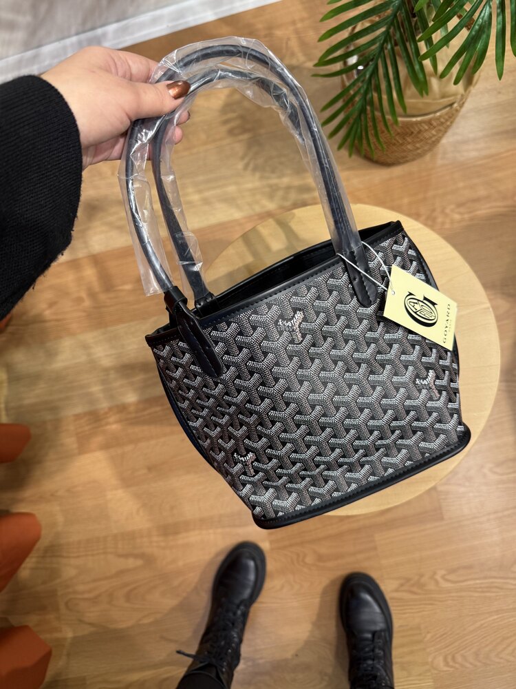 GOYARD-Anjou Mini Bag