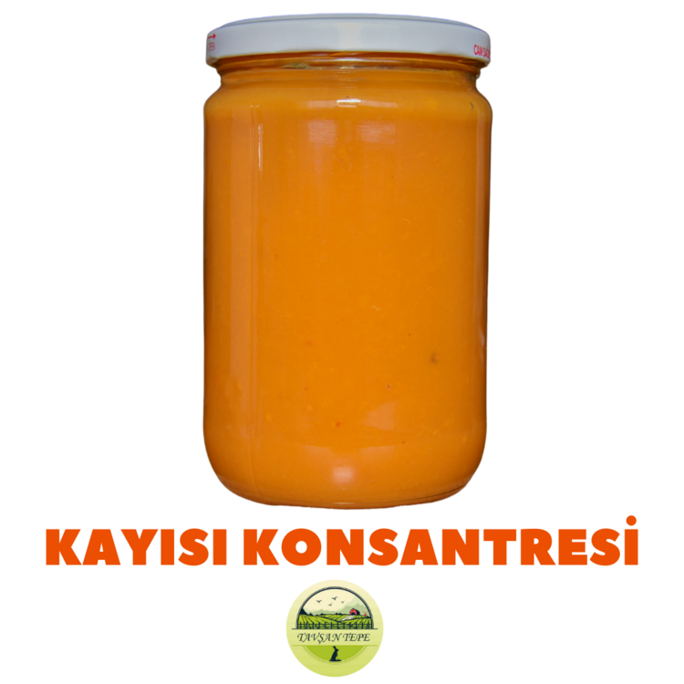 Kayısı Meyve Suyu Konsantresi