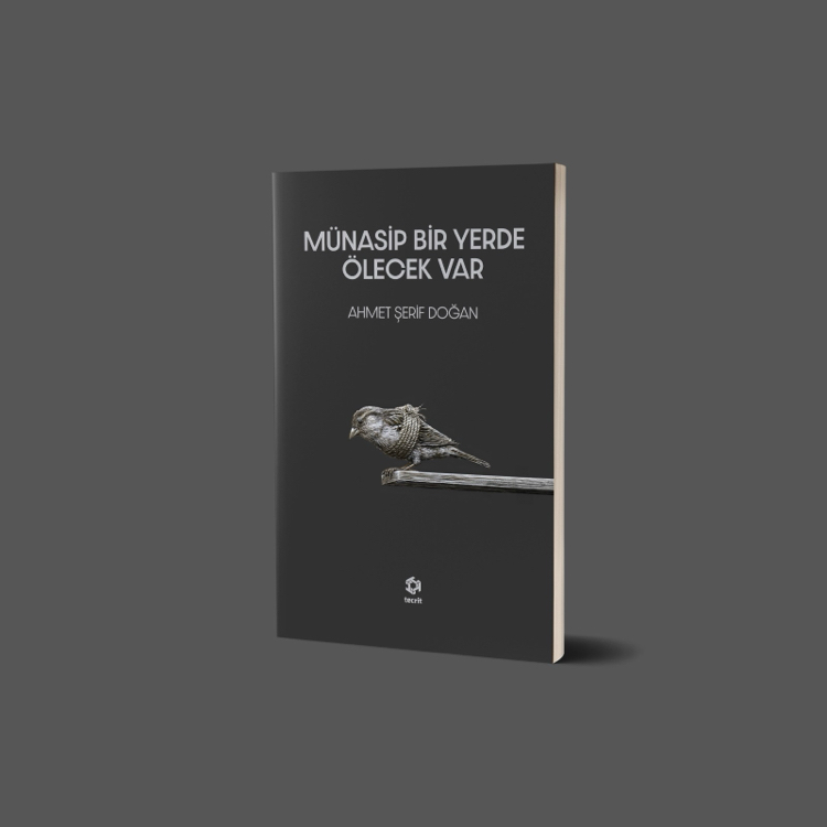 Son 3 Şiir Kitabı 