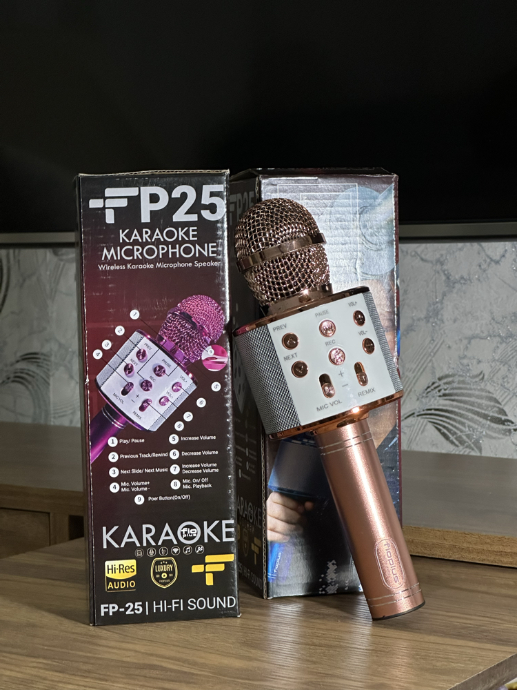 KARAOKE MİKROFON
