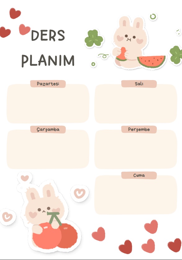 Tavşan desenli DERS PLANI/DERS PROGRAMI
