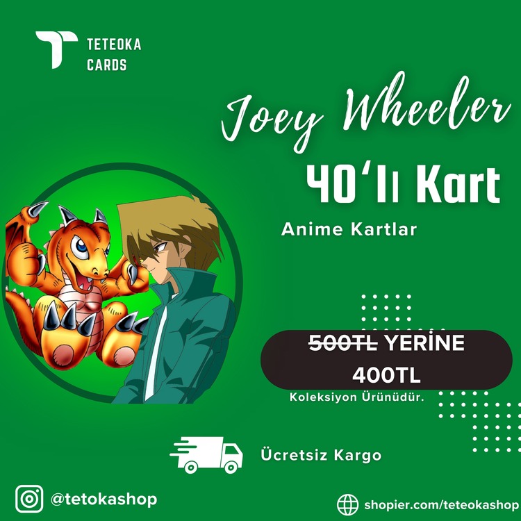 Joey Wheeler 40'lı Anime Kart Destesi