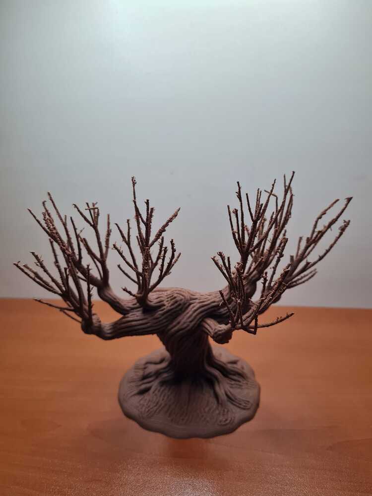 Şamarcı Söğüt 3D Baskı Koleksiyon Parçası