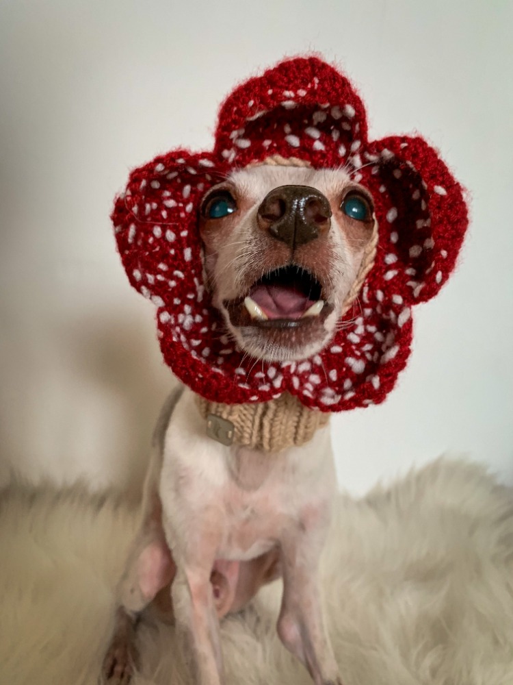 Demodog Snood