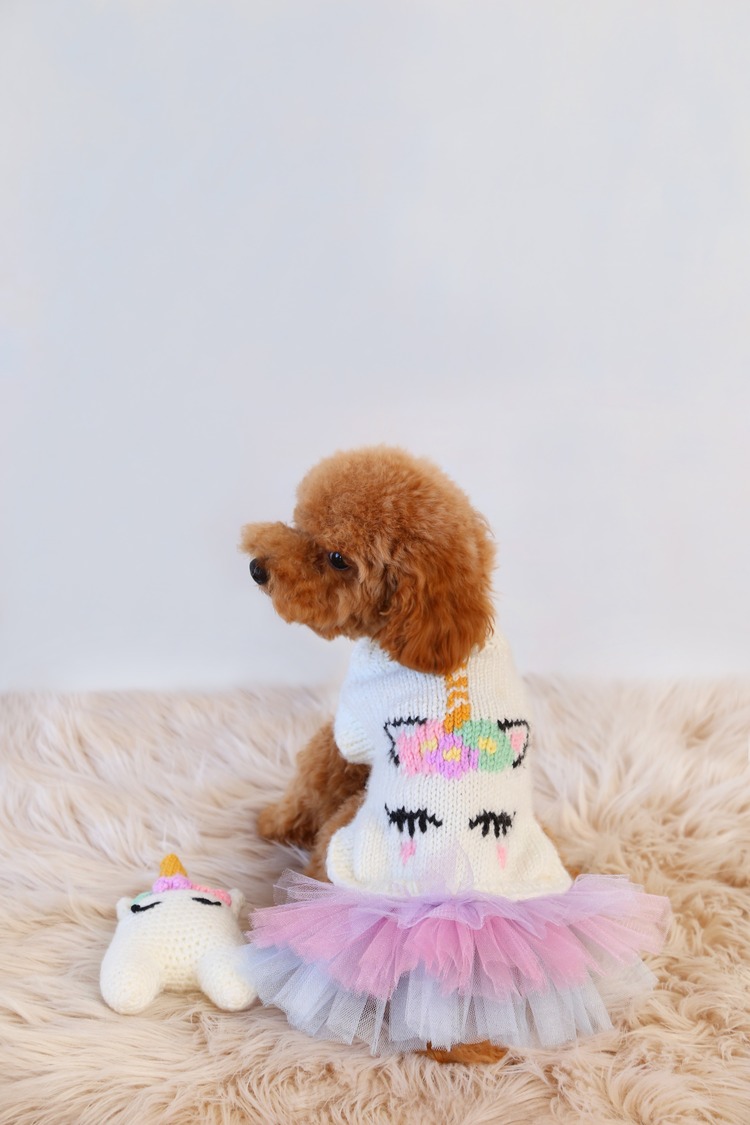 Unicorn Tütülü Kazak