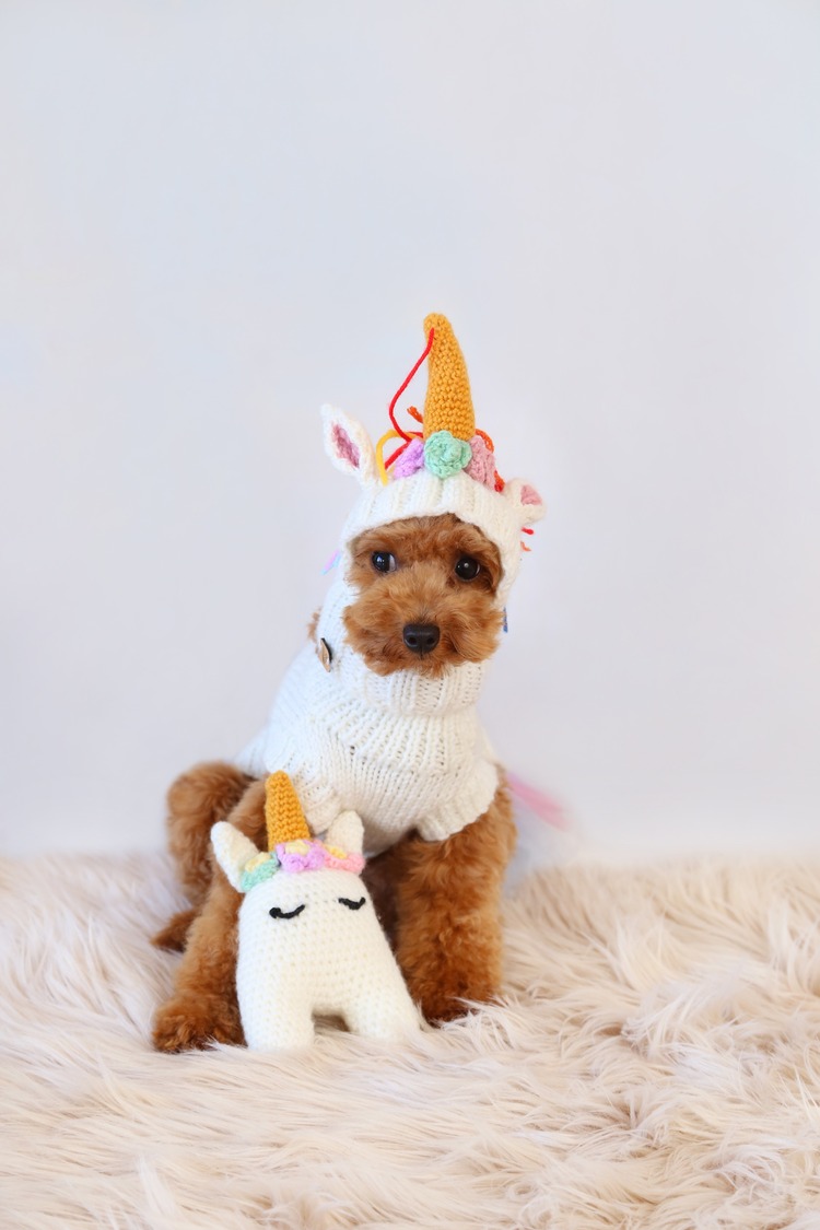 Unicorn Snood