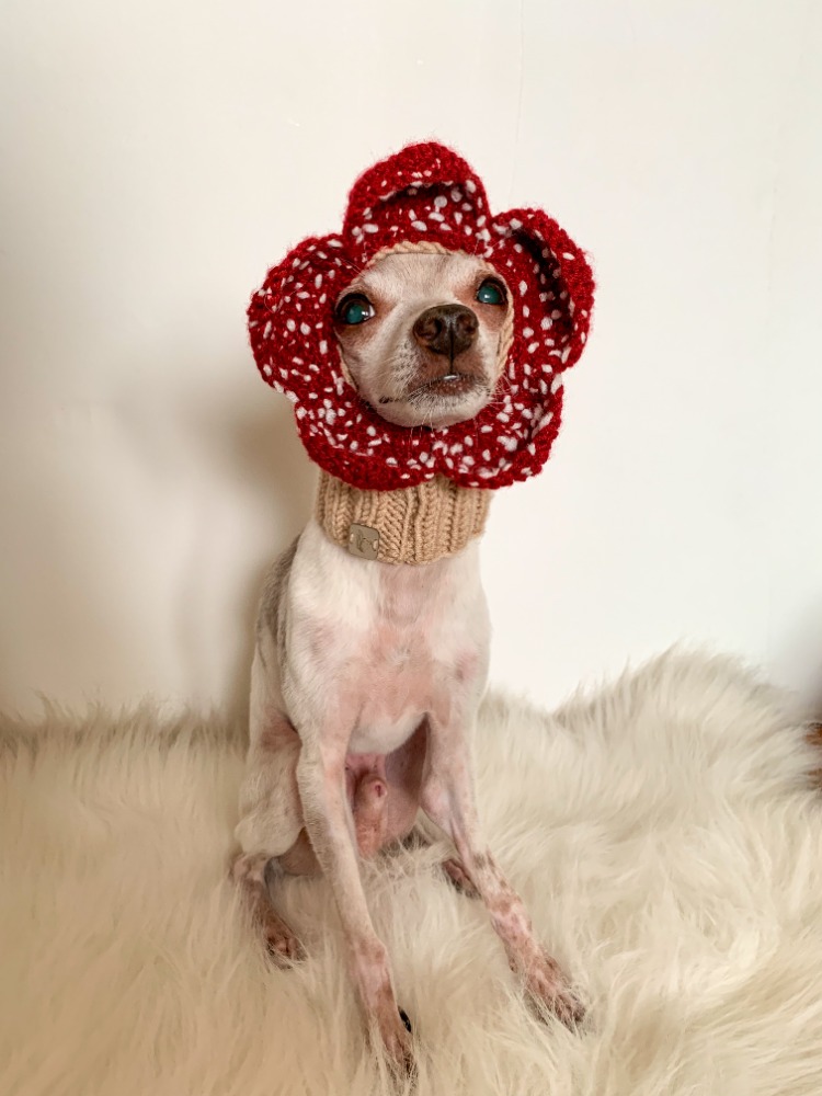 Demodog Snood