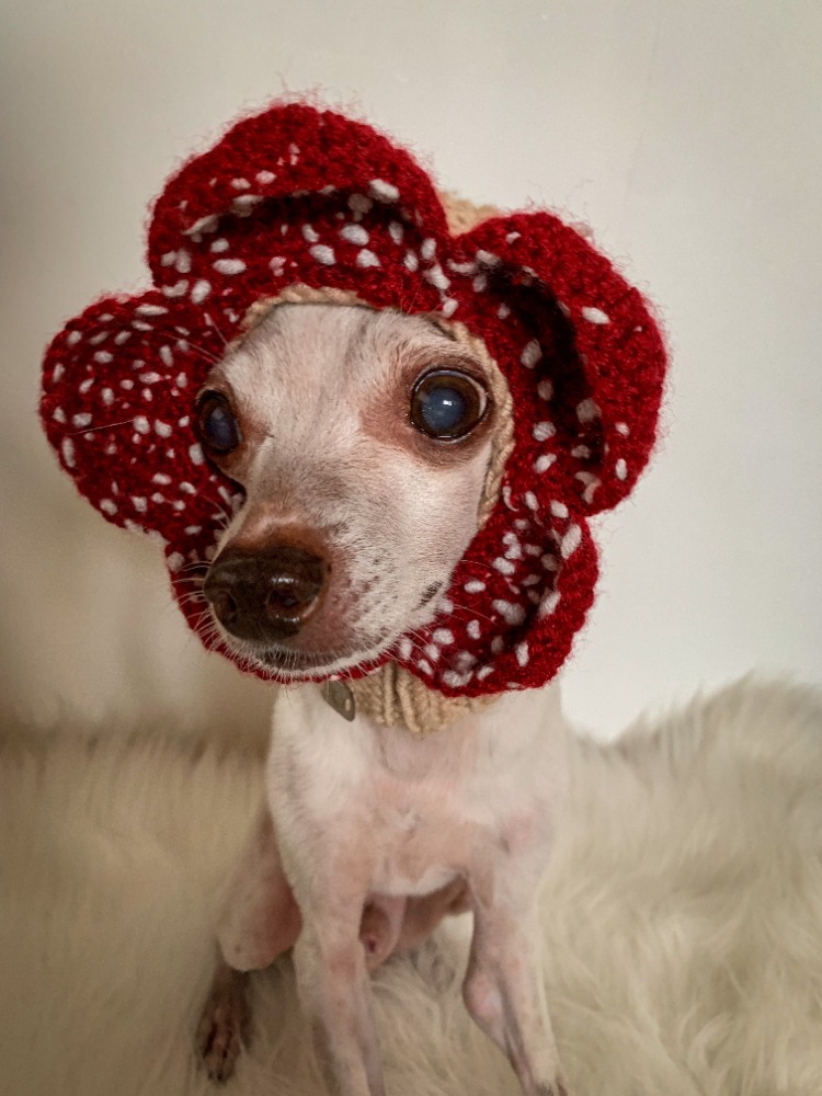 Demodog Snood