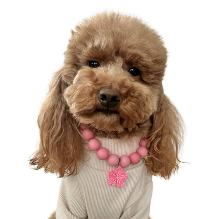 Kedi Köpek Açık Pembe Boncuklu Kolye