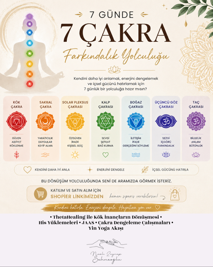 Kökten Taça Dönüşüm: 7 Günde 7 Çakra