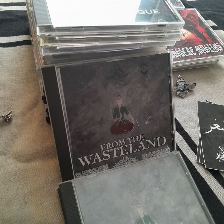 From The Wasteland Split