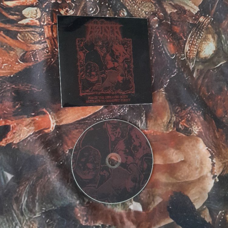Abuser - Purge the Depraved Body: Mutilate to Manifest Purity