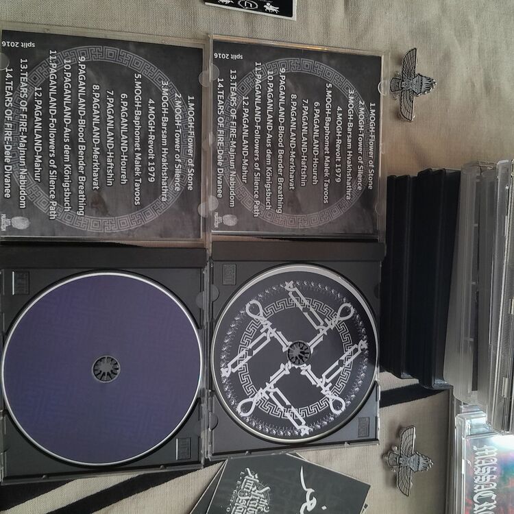 From The Wasteland Split