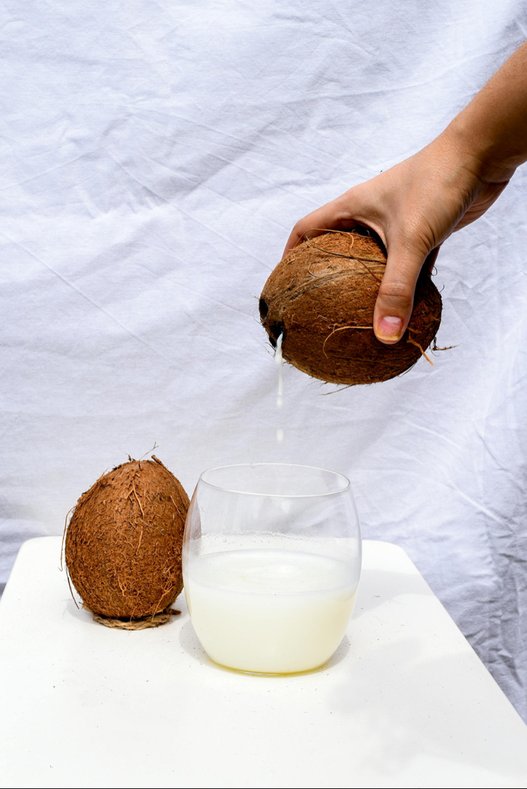 COCONUT (bol sulu)