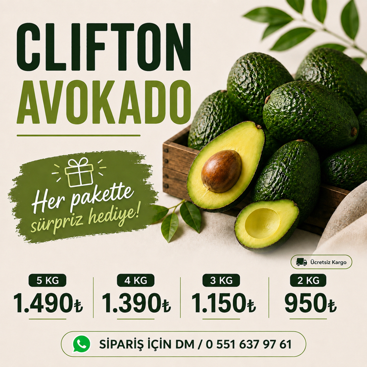 2KG AVOKADO (Clifton)
