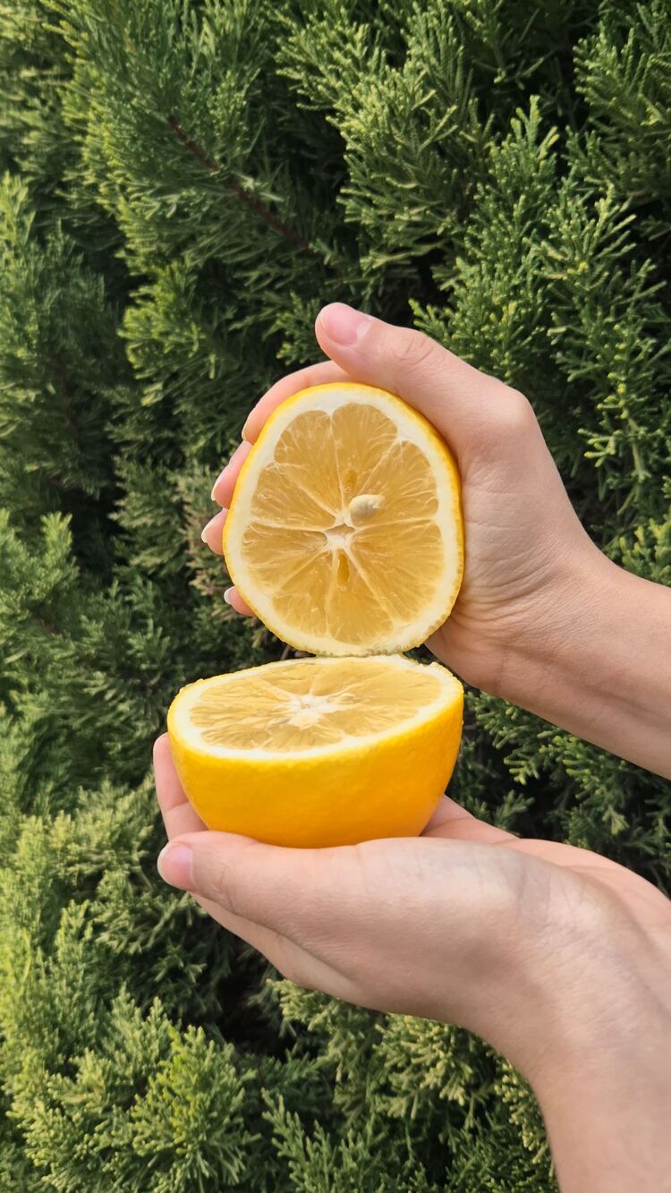 DOĞAL ALANYA LİMON KG