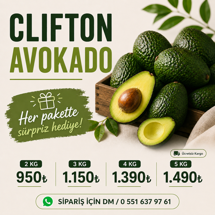 5KG AVOKADO (Clifton)