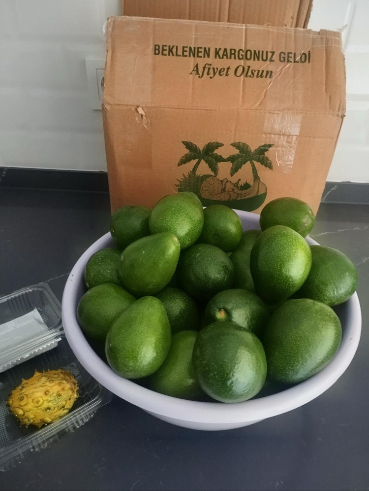 2KG AVOKADO (Clifton)