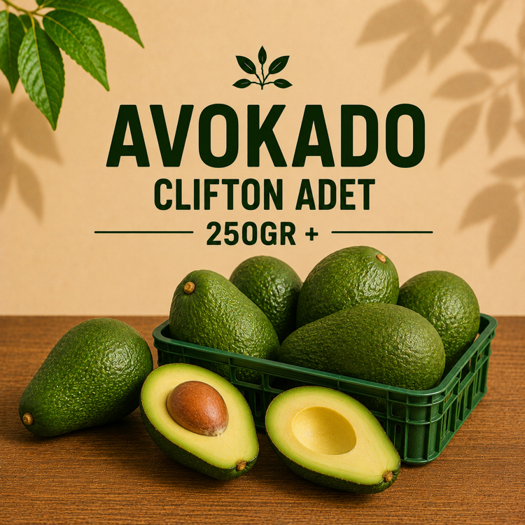 AVOKADO (ADET) 250gr