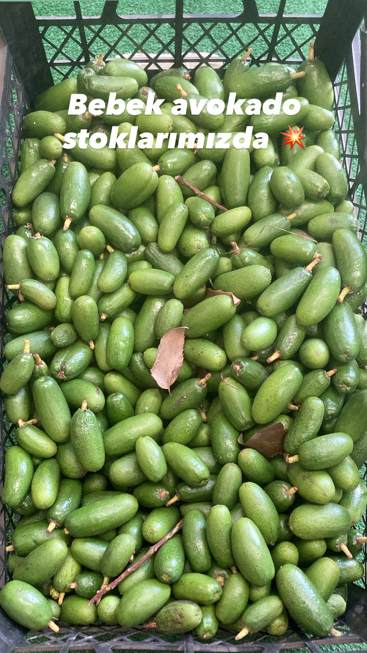 BABY AVOKADO (500gr)