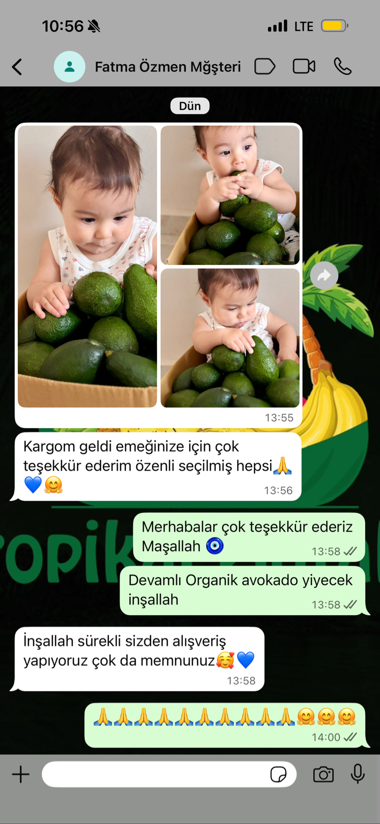 3KG AVOKADO (Clifton)