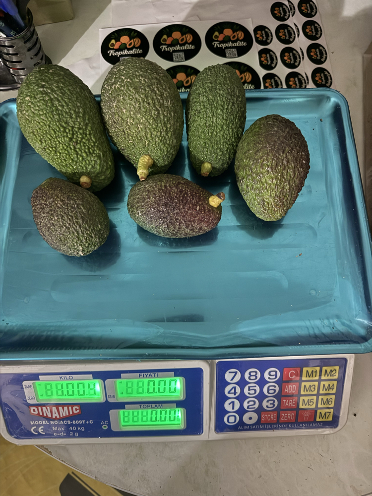 Avokado / Has / 1 kg