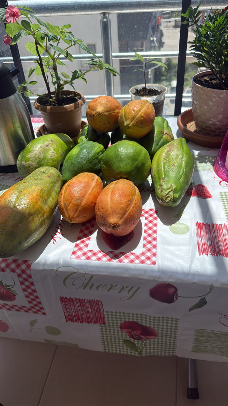Papaya / 1 kg