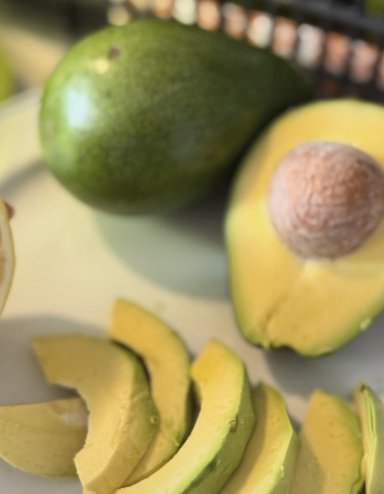 Avokado / Zutano