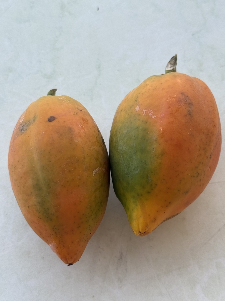 Papaya / 1 kg