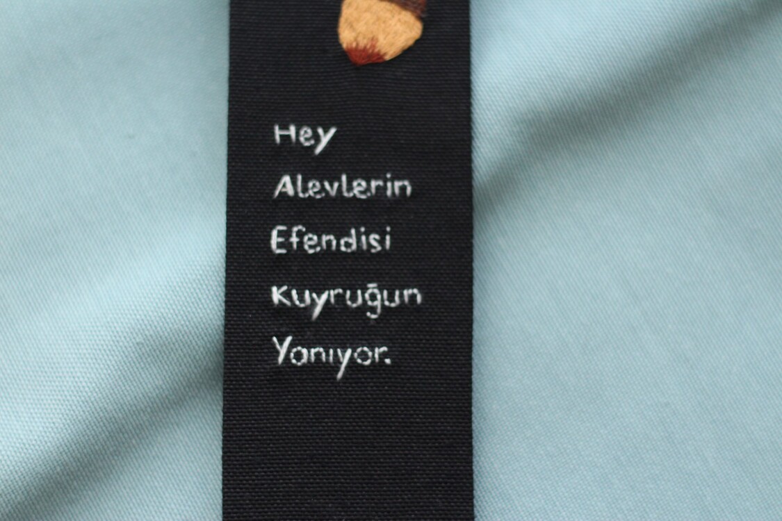 Buz devri Ayraç