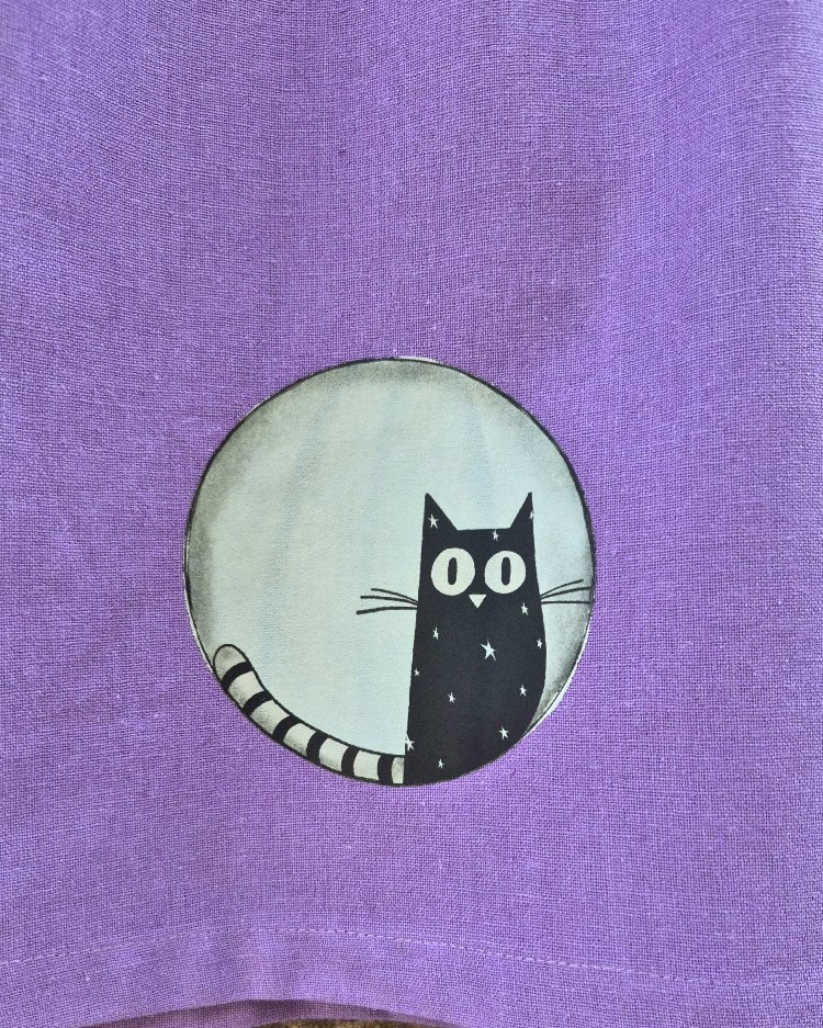 Aydaki Kedi