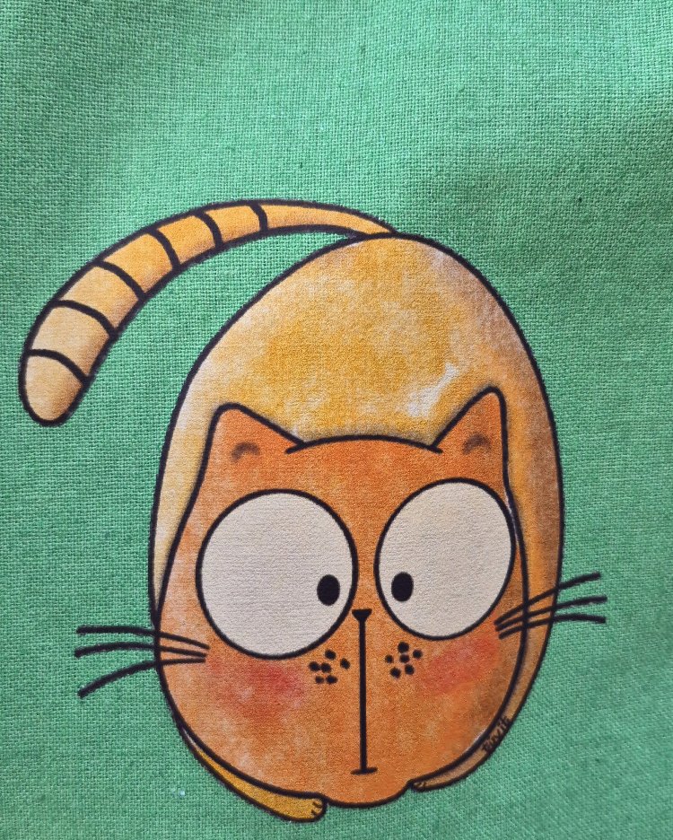 Oyuncu Kedi