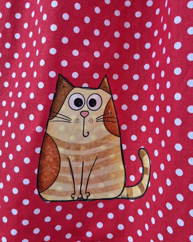 Şirin Kedi Puantiyede