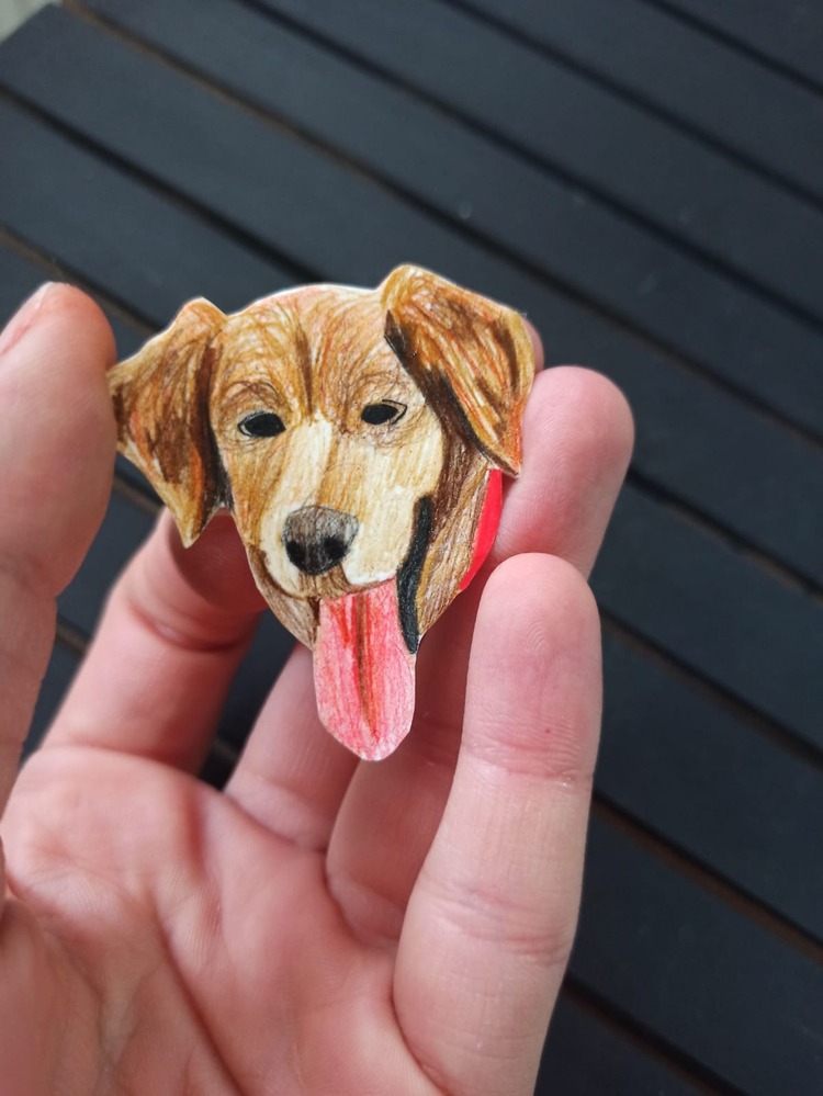 Kişiselleştirilebilir Broş Kedi/Köpek