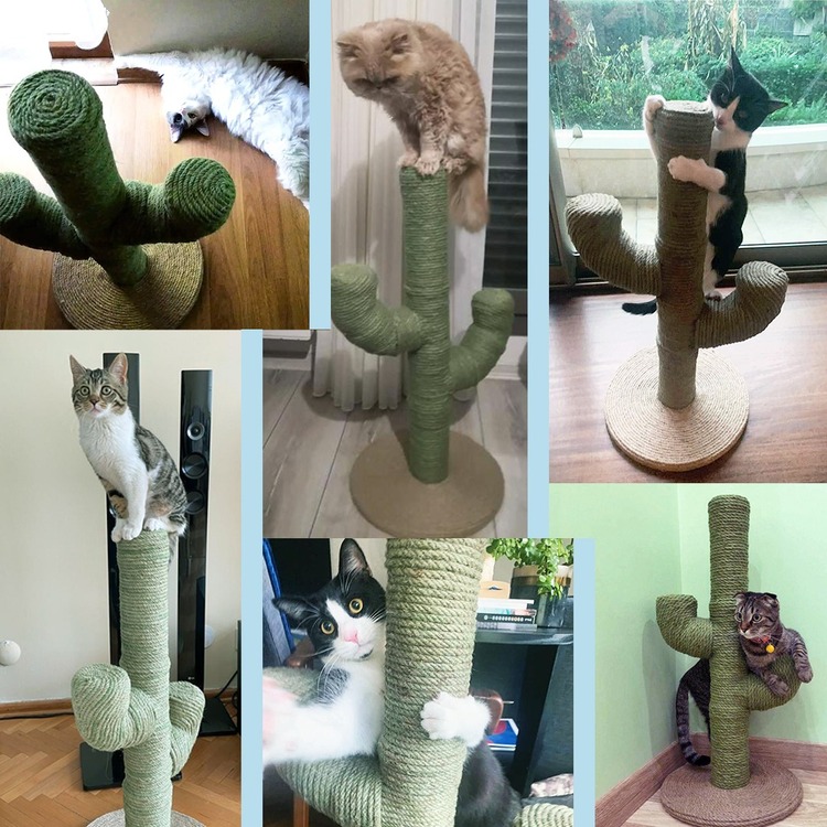 Kedi Tırmalama Tahtası Kaktüs - Yeşil