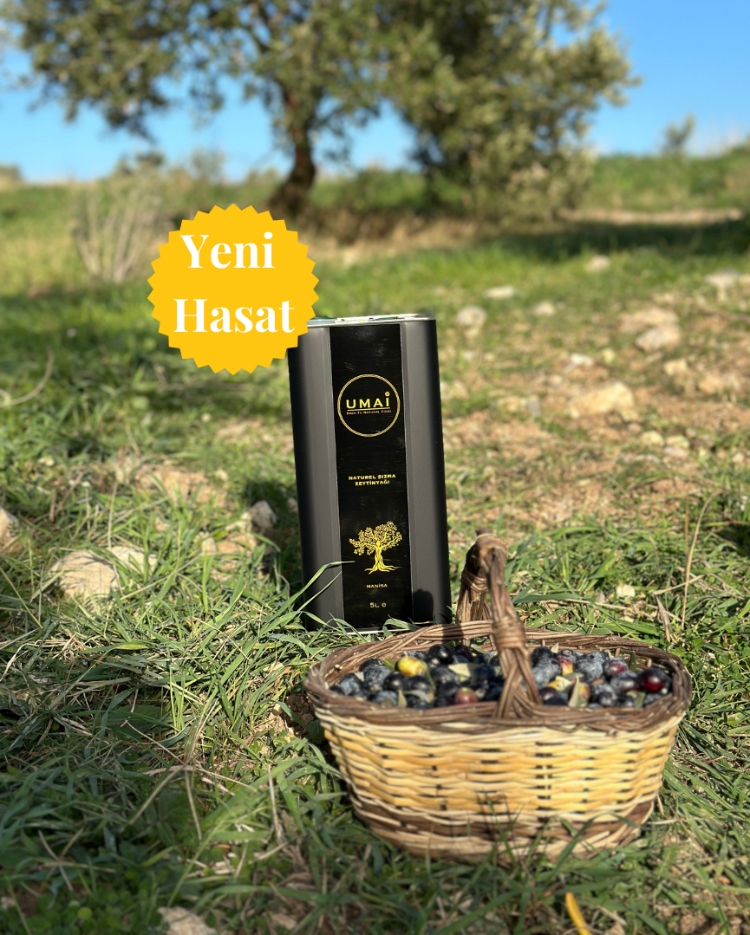 2025-2026 SEZONU UMAİ NATUREL SIZMA ZEYTİNYAĞI 5 Lt