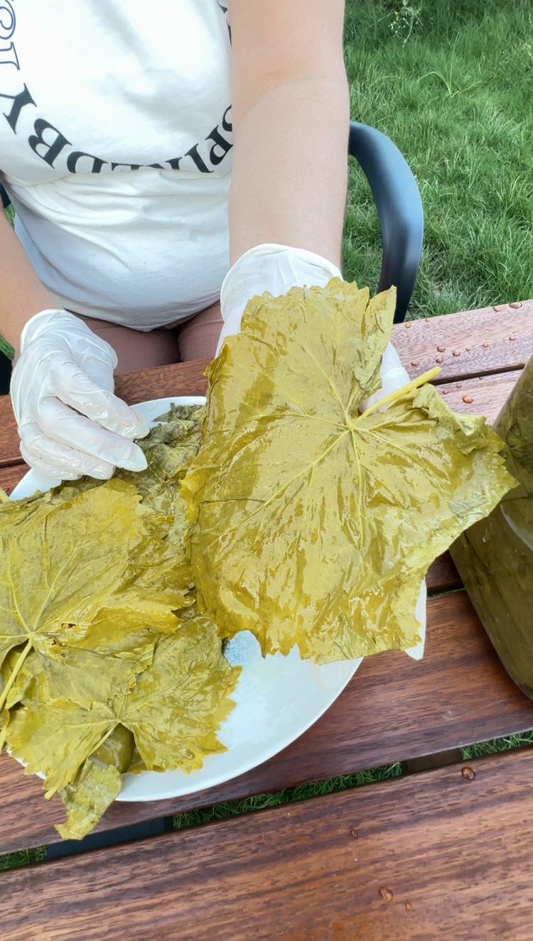 2026 SEZONU UMAİ YAPRAK SALAMURA 5 kg'lık Bidon