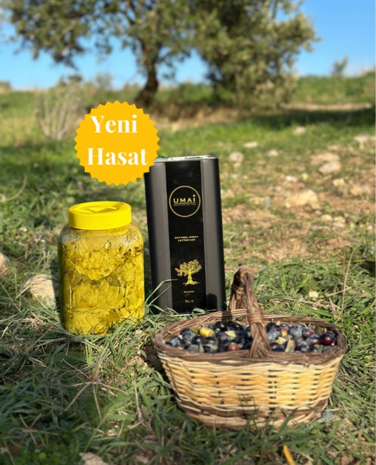 YENİ SEZON UMAİ NATUREL SIZMA ZEYTİNYAĞI 5 Lt ve SALAMURA YAPRAK