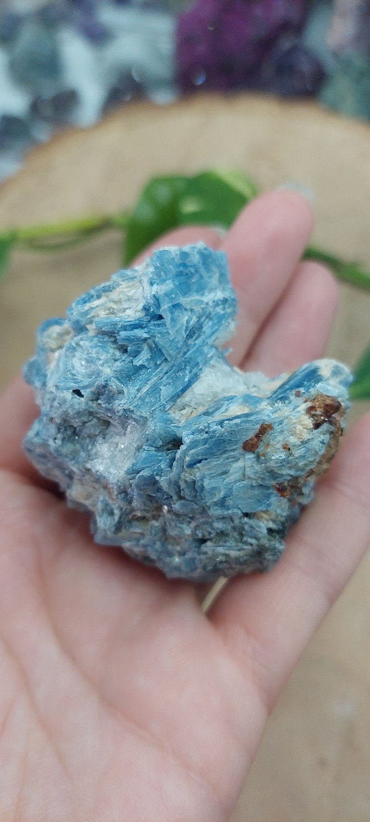 Nadir Oluşum Üst Kalite Kristal Kuvarsla Mavi Kyanit Birlikteliği