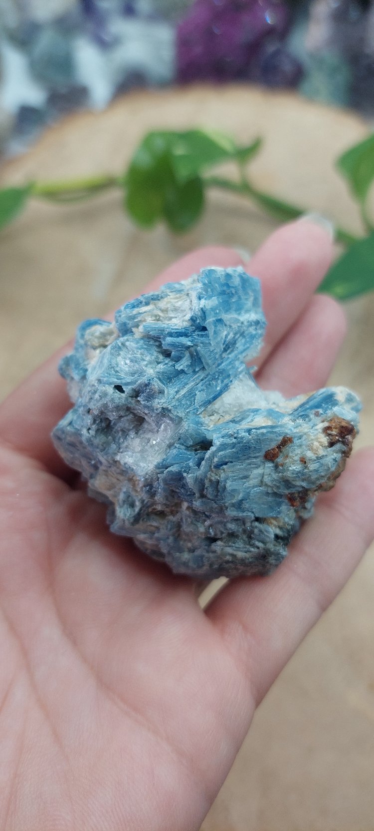 Nadir Oluşum Üst Kalite Kristal Kuvarsla Mavi Kyanit Birlikteliği