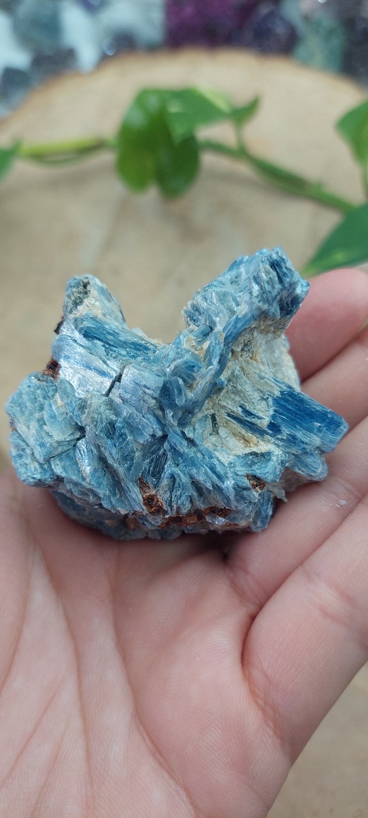 Nadir Oluşum Üst Kalite Kristal Kuvarsla Mavi Kyanit Birlikteliği