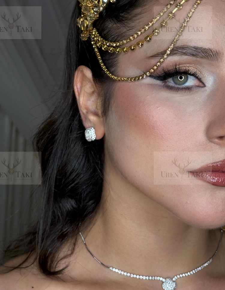 Özel Seri 316 Gümüs Zirkon Tasli Yonca Model Set