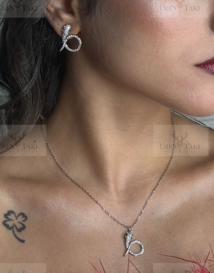 Özel Seri 316 Gümüs Zirkon Tasli Yilan Model Set 