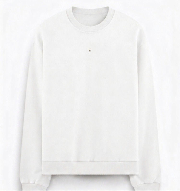 Vaelo Signature Series – Heavyweight Oversized SweatShirt