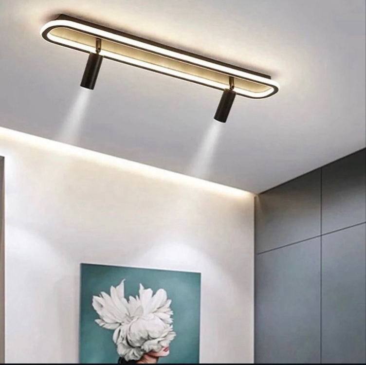 ELİPS PLAFONYER AVİZE 16x60 cm 2 SPOTLU